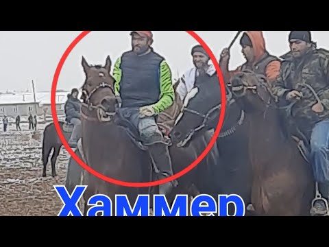 Видео: 17 02 2024 Бузкаши н Зафаробод