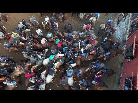 Видео: МАҚТАШЫ АУЫЛЫ ДҮЙСЕНБАЙ 50 ЖАС БАТА КӨКПАР