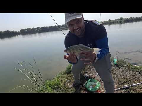 Видео: Рыбалка в Узбекистане - от магазина до улова!