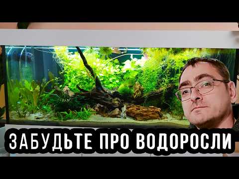 Видео: Ленивый аквариум на песке: забудьте про фильтр и водоросли в аквариуме! Аквариум без фильтра! 4К