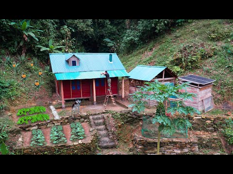 Видео: Я заканчиваю крышу и разбиваю новый сад после сбора урожая.
