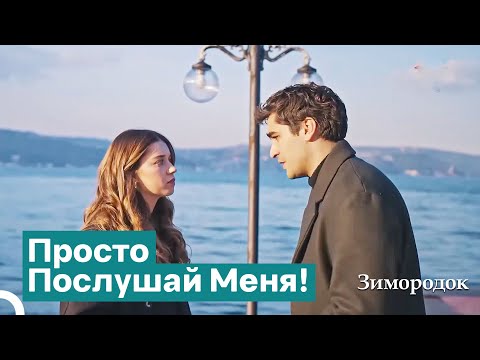 Видео: Ферит, Который Не Перестает Ошибаться | Зимородок