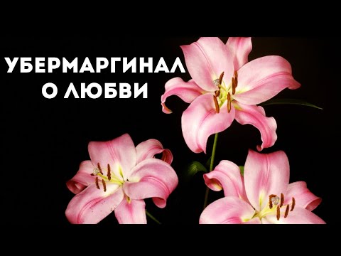 Видео: Убермаргинал о любви
