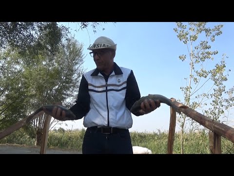 Видео: 8-октября 2025 г.