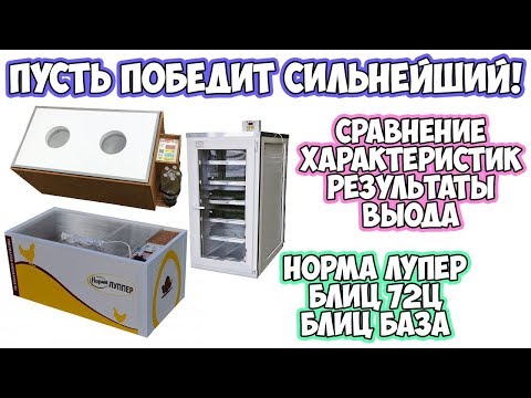 Видео: ОБЗОР НА ИНКУБАТОР НОРМА ЛУППЕР. СРАВНЕНИЕ С БЛИЦ 72Ц И БЛИЦ БАЗА