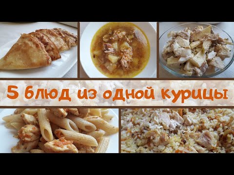 Видео: 5 БЛЮД ИЗ ОДНОЙ КУРИЦЫ | Экономное Меню | Блюда из Курицы