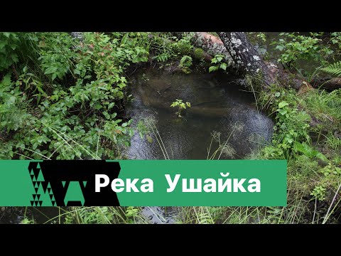 Видео: К истории реки Ушайки