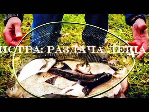 Видео: ОТЛИЧНЫЙ КЛЕВ ЛЕЩА НА ВОДОХРАНИЛИЩЕ!🔥👍