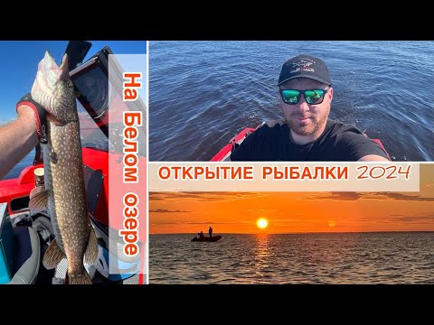 Видео: Открытие рыбалки на Белом озере 2024. Троллинг. Трофейная щука.