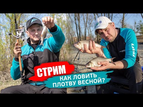 Видео: Как ловить ПЛОТВУ весной на фидер? Секреты ловли от Евгения Чертенкова и Алексея Пугача!