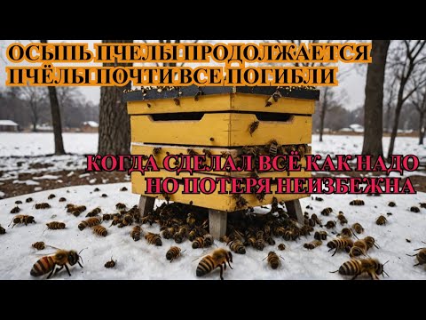Видео: Ещё одна ПЧЕЛИНАЯ СЕМЬЯ ПОГИБАЕТ ОСЫПЬ ПЧЕЛЫ НЕ ПРЕКРАТИЛАСЬ ПОСЛЕ УТЕПЛЕНИЯ какова ПРИЧИНА ☝️🐝🐝