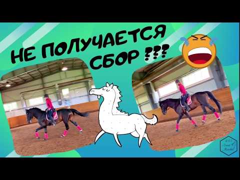 Видео: НЕСТАБИЛЬНЫЙ СБОР НА ЛОШАДИ???