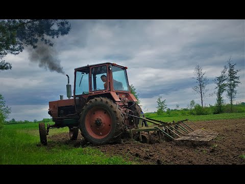 Видео: Культивация на ЮМЗ 6кл ТУРБО