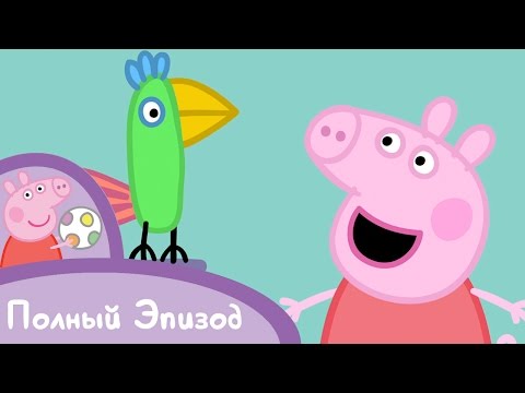 Видео: Свинка Пеппа - S01 E04 Попугай Полли (Серия целиком)