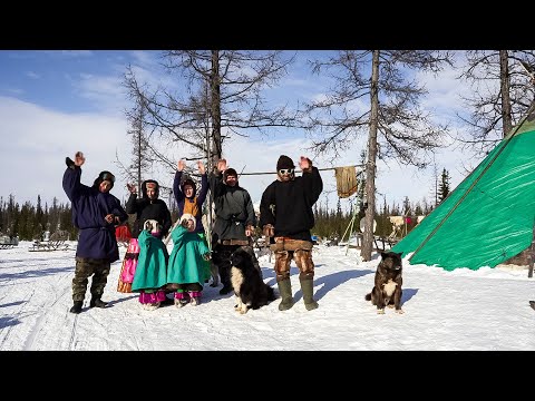Видео: Большая любовь семьи оленеводов Вокуевых. | Изьватас олэм