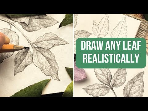 Видео: Как реалистично нарисовать любой лист 🤩 | Пошаговое руководство по рисованию и штриховке
