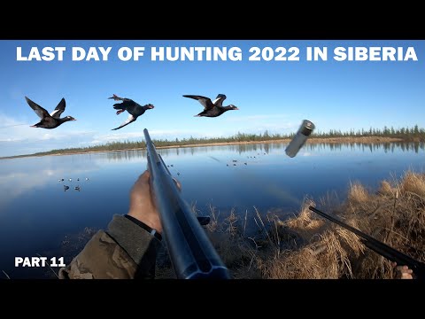 Видео: ОХОТА НА ТУРПАНА НА КОЛЫМЕ 2022. 11 СЕРИЯ