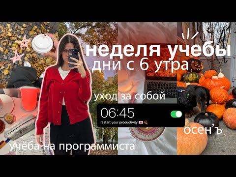 Видео: МОЯ НЕДЕЛЯ УЧЕБЫ С 6 УТРА: study vlog | утренняя рутина, контрольные 🏫₊˚