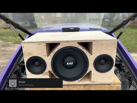 Видео: DPW1240,ALPHARD. КОЛОНКА ДЛЯ УЛИЦЫ. ДИКИЙ ПАНЧ