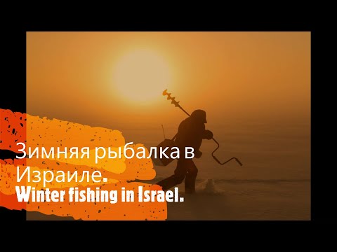 Видео: Зимняя рыбалка в Израиле!  Февраль. Winter fishing! Israel, February.