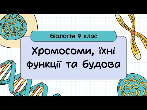 Видео: Біологія 9 клас  Хромосоми, їхні функції та будова