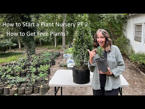 Видео: Бесплатные растения для вашего питомника — Как открыть питомник, часть 2