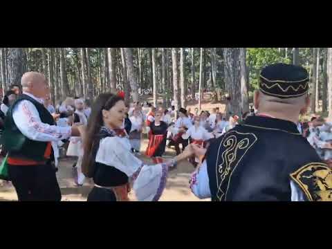 Видео: Жеравна 2023 г., Ширто