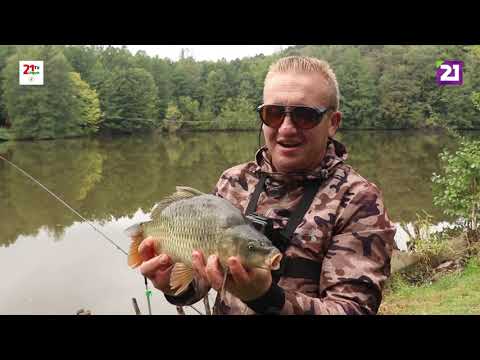 Видео: Карпатське рибалля / Ловля карася та коропа на озері в селі Собатин