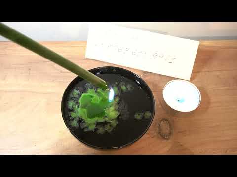 Видео: Какой он Вас видел? Что думает о Вас сегодня? Гадание на воске