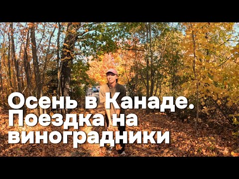 Видео: Осень в Канаде. Путешествие в Долину Аннаполиc. Провинция Новая Шотландия