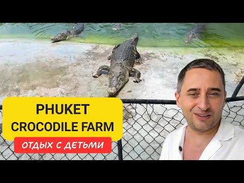 Видео: Крокодиловое шоу на Пхукете | Кормим настоящих крокодилов! Семейная локация на Пхукете