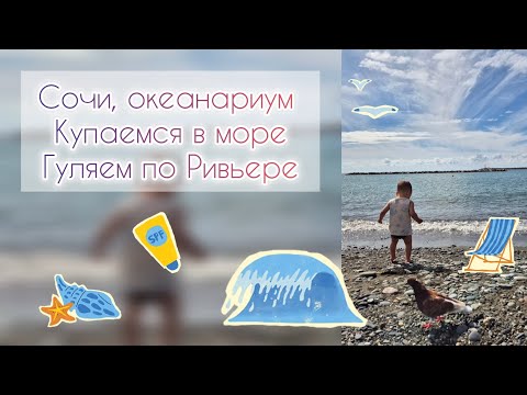 Видео: Сочи, океанариум🐠 Купаемся в море🪼Гуляем по Ривьере🌴