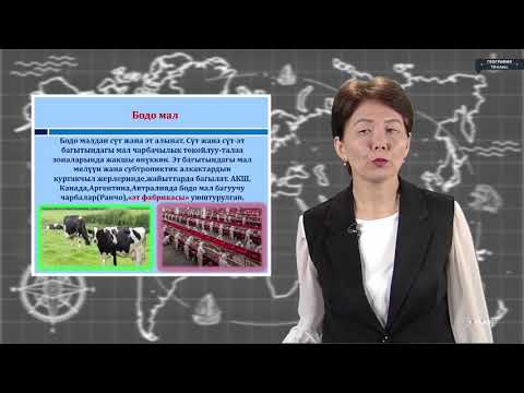 Видео: География - 10 класс - Дүйнөлүк кайра иштетүү өнөр жайы, айыл чарбасы, транспорту