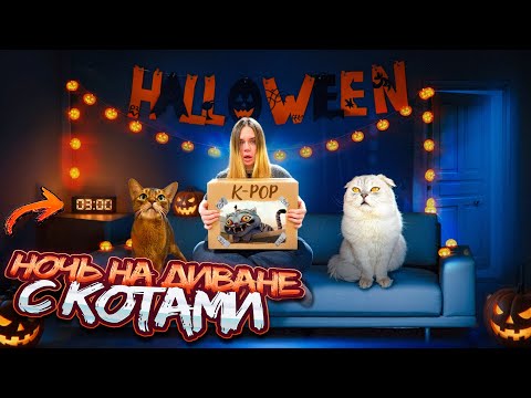Видео: НОЧЬ НА ДИВАНЕ СО ВСЕМИ КОТАМИ | РАСПАКОВКА НАБОРА K-POP в 3:00 НОЧИ *зря*