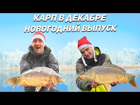 Видео: Озеро Михайлына | Ловля карпа в декабре | Новогодний выпуск