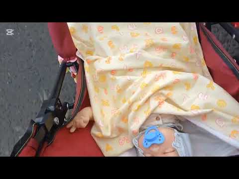 Видео: #Прогулка с Амелия#за посылкой?#