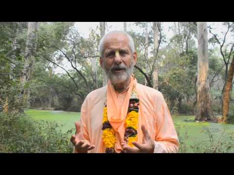 Видео: Быстрый старт. 16. Что читать?