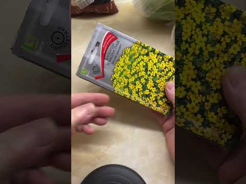 Видео: Закупаюсь семенами для нового сезона 12 ноября 2025 г.