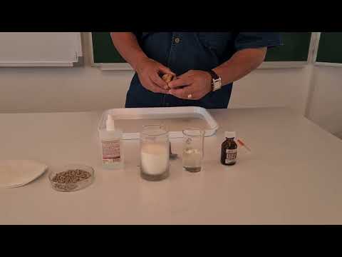 Видео: Азық - түлікте көмірсу, нәруыз майлар барын дәлелдеу