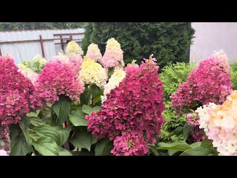 Видео: 28 сентября 2025 г.