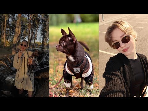 Видео: VLOG: Болею|Разговоры|Прогулки с Ильей