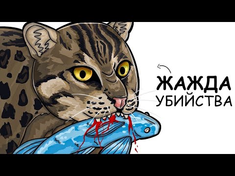 Видео: Ты – Кошка-рыболов (И ЭТО ВСЯ ТВОЯ ЖИЗНЬ)