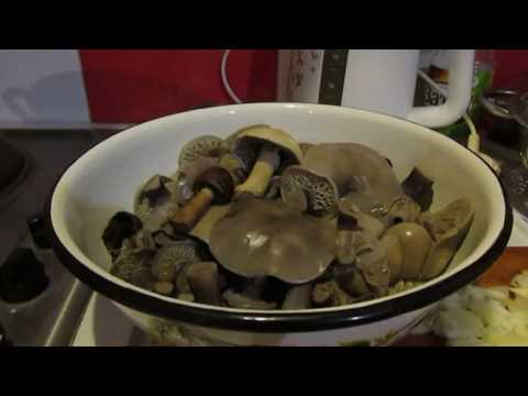 Видео: Как приготовить грибы, жареные
