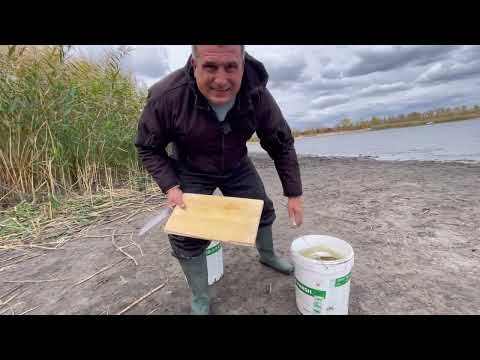 Видео: Як ловити Судака і гарно готувати 🐋🐋🐋