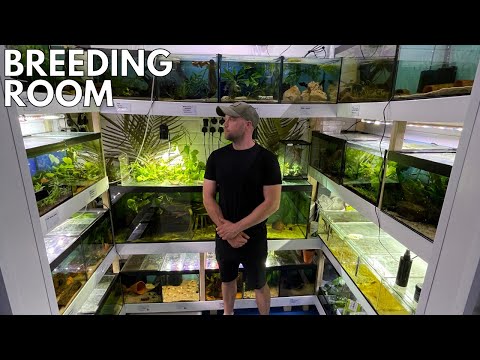 Видео: ЭПИЧЕСКОЕ РАЗВЕДЕНИЕ РЫБ Полный тур по залу