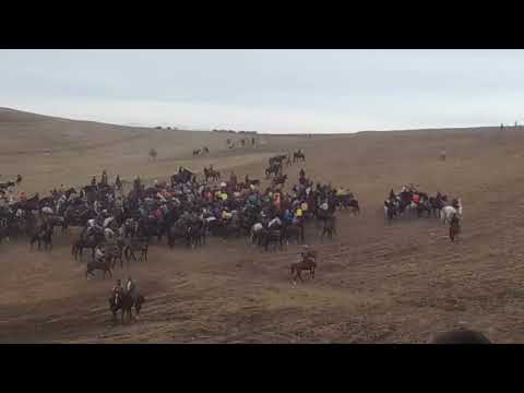 Видео: 18 ноября 2024 г.