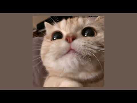 Видео: дора - дорадура (speed up)