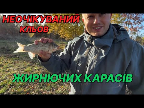 Видео: Осіння рибалка на карася.Гарний улов.Чудовий відпочинок на природі!