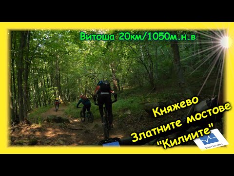 Видео: Златните мостове и 3 пътеки надолу към Дедо Мацо/@Vitosha Mountain