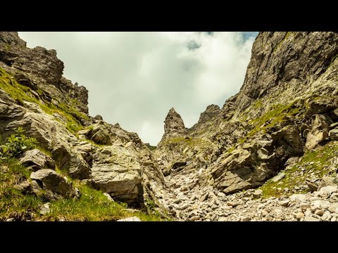Видео: Синия улей
